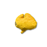Gracie the Ginkgo Leaf